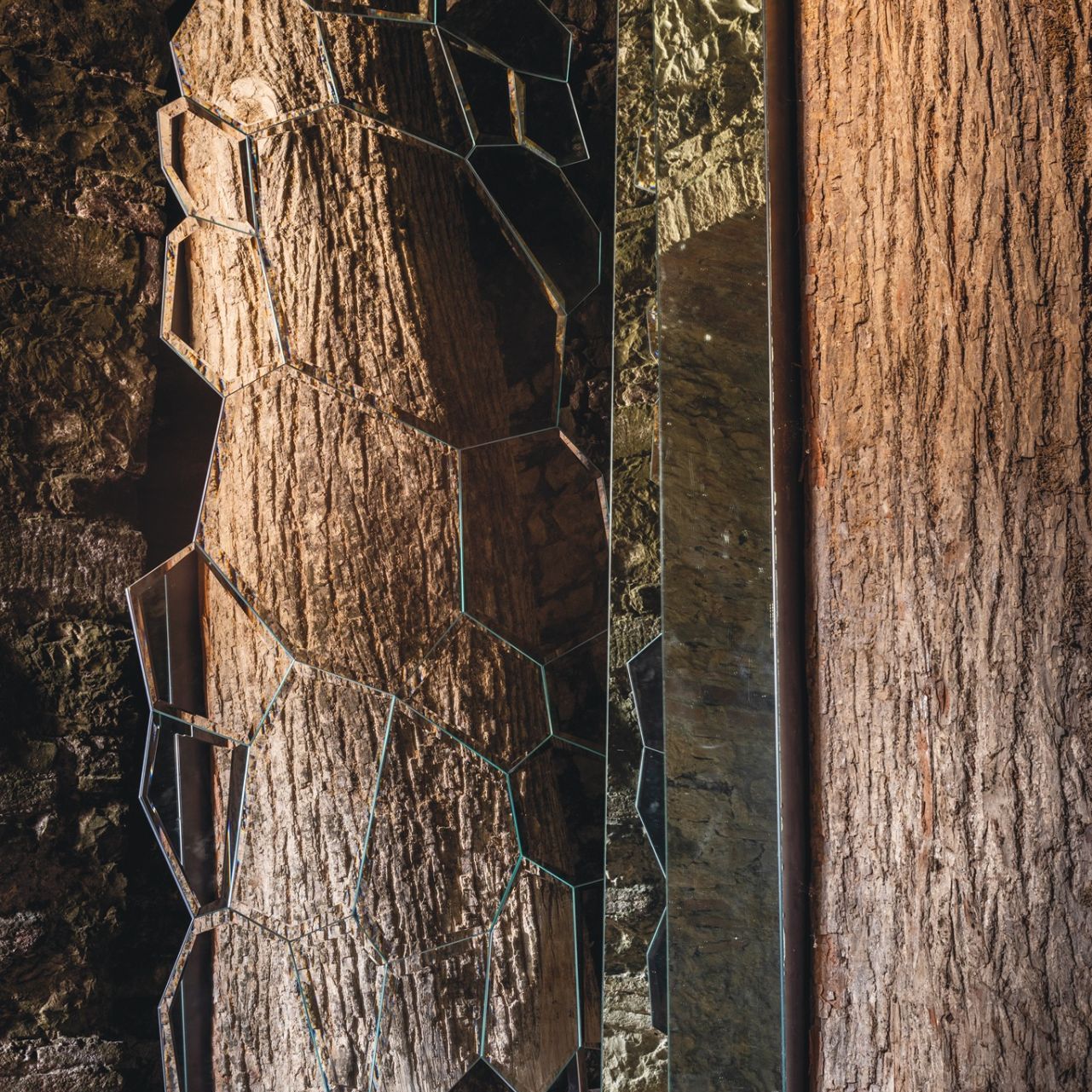   Jubil&eacute; . Gioco di riflessi tra lo specchio e l&rsquo;opera &ldquo;L&rsquo;albero di Ama&rdquo; di Michelangelo Pistoletto. 
