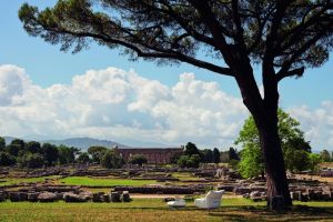  Chiara. La poltrona &ldquo;osserva&rdquo; il suggestivo parco archeologico di Paestum, l&rsquo;antica citt&agrave; della Magna Grecia. 