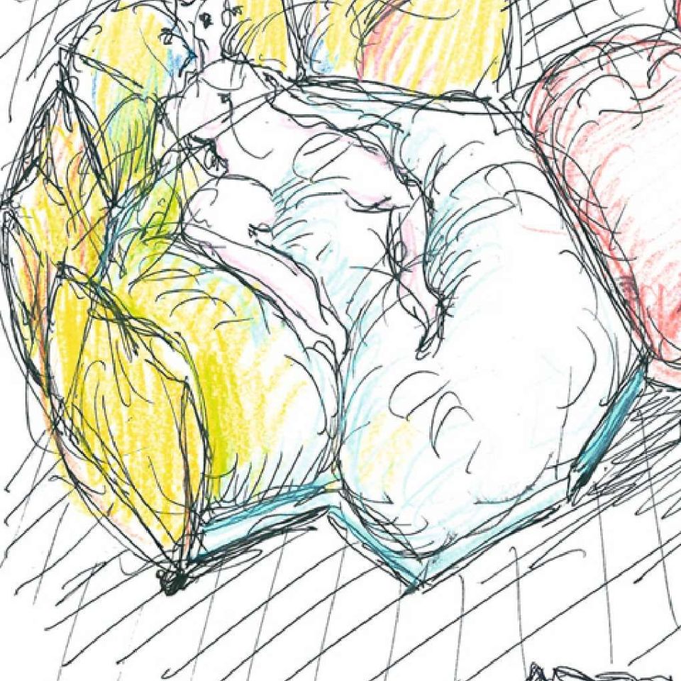   Standard &nbsp;Disegno di progetto e concept. 